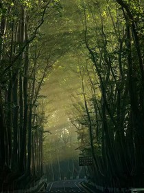 蒲霜柠