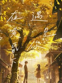 在黄昏下遇到你
