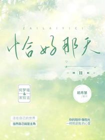 恰好那天