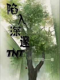 TNT：陷入深邃