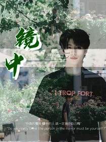 TF三代：鏡中
