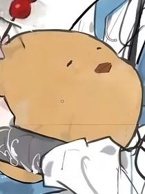 四阶实验体