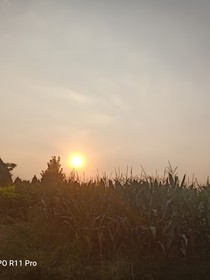 旅情事记
