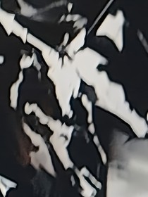 自由之域