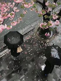 朋友吗？我们不是