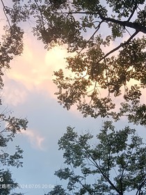 我的青春校园生活难道就这么结束了吗