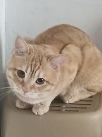 青与海