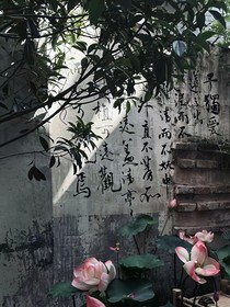 枯木终还春