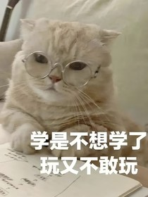 重生之教资备考中