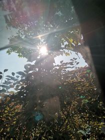 心锁集