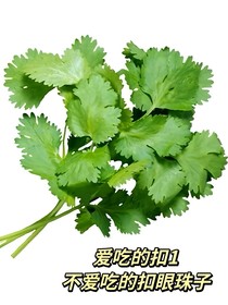 香菜大王