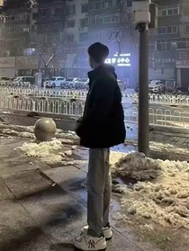 复仇计划之重生