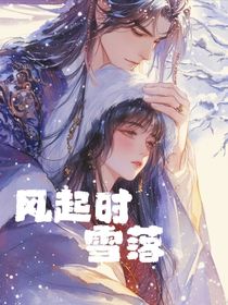风起时雪落