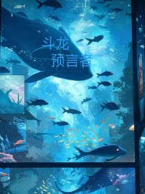 斗龙预言者