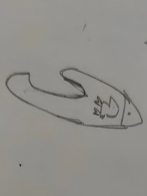 鸡鱼观察日记