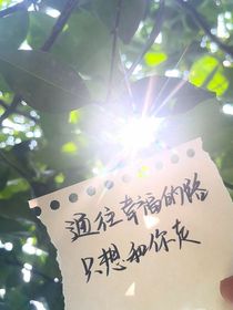 文盲寫作記錄