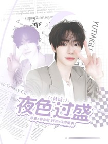 韩娱：夜色过盛