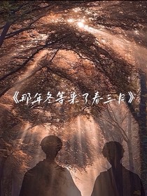 在那年冬等來了春三月
