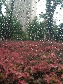 写作必看