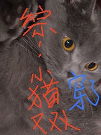 综：快乐小猫又又又穿了