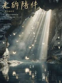 光的陪伴