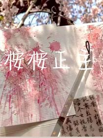 桉桉主上