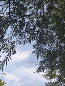 初遇，我们的双向奔赴