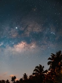 属于夜猫的黑夜