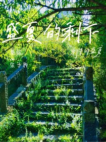 那年，盛夏的剩下