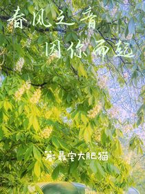 春風(fēng)之音，因你而起