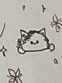 猫猫之奇幻世界