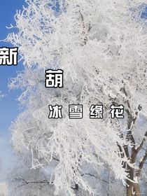 新葫：冰雪緣花-d164