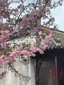 神兵小将：与卿相随