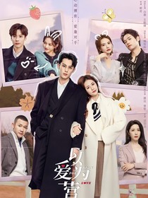 以爱为营（后续）自编