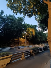 风藏匿思念