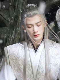 前世今生：夭柳后续