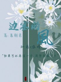 边塞的风