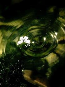 秋霜入我怀