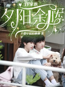 TF家族：夕阳余晖