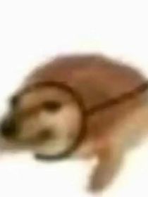 离济之苦