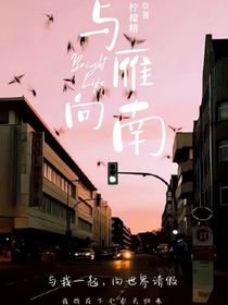 与雁向南