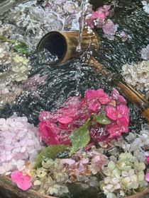 暗恋的勇气