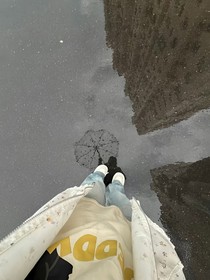 追求自由的风