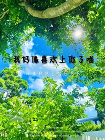 我好像喜欢上你了喵