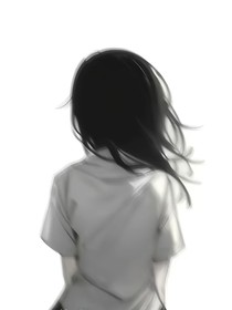灵号案件