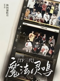 TF三代：魔法灵鸣