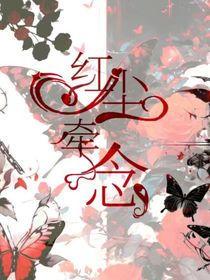 斗龙：红尘牵念
