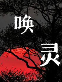 TNT：?jiǎn)眷`