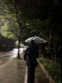 那年的一场小雨