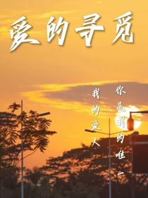 爱的寻觅